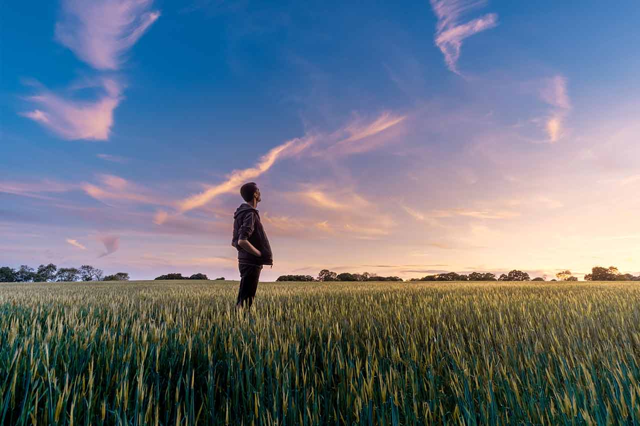 man alone in a field at dusk