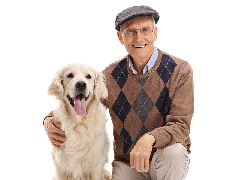 senior man with labrador picture