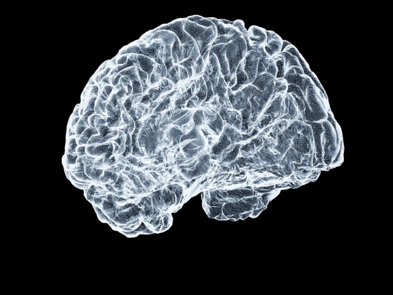 image of a brain demonstrating neuroplasticity using illumination