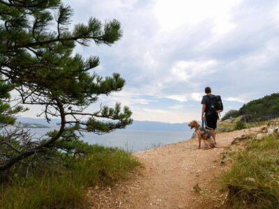 a man walking a nature trail with his dog
