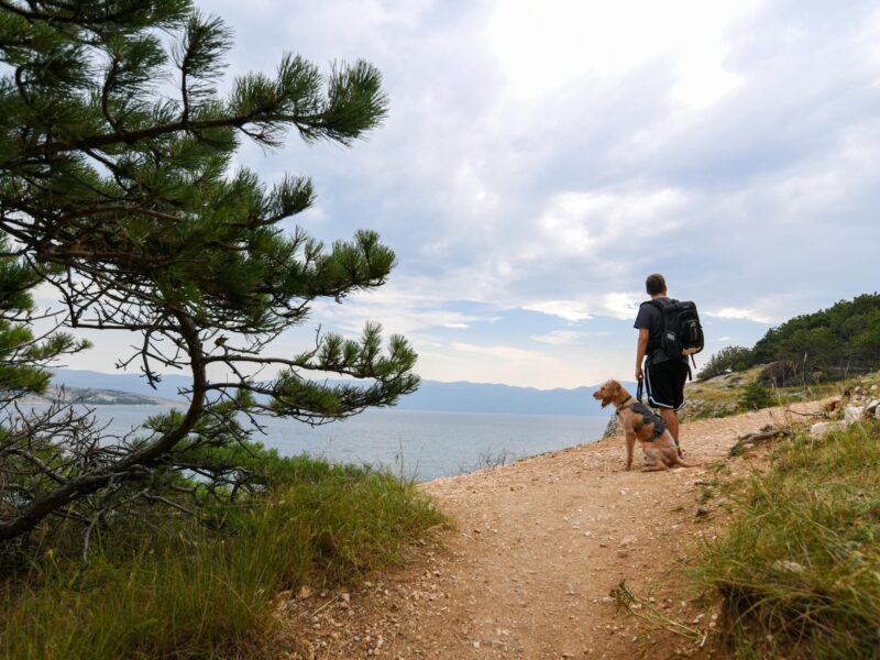 How do behavioral health carve-outs affect insurance rehab coverage?