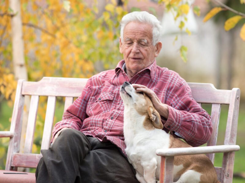 Senior man in a plaid shirt sitting on a wooden bench outdoors, gently petting his dog among autumn leaves.
