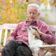 Senior man in a plaid shirt sitting on a wooden bench outdoors, gently petting his dog among autumn leaves.