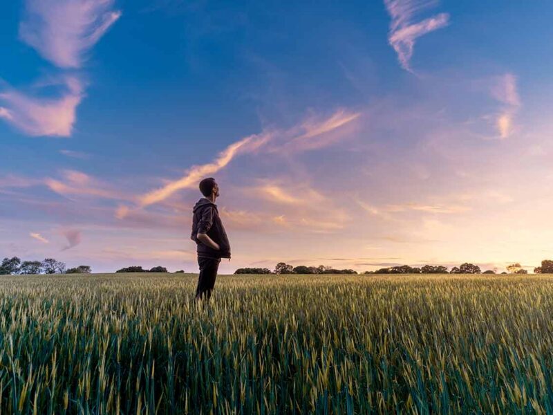 Person standing alone in an open green field looking up at a wide sunset sky, symbolizing hope and recovery.