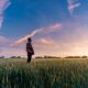 Person standing alone in an open green field looking up at a wide sunset sky, symbolizing hope and recovery.